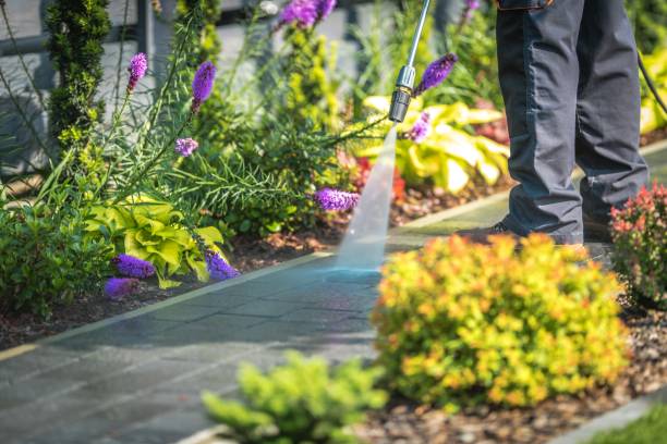 Best Fence Cleaning  in Lake Wazeecha, WI